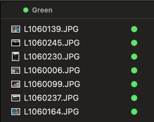 Finder photo tagging UI