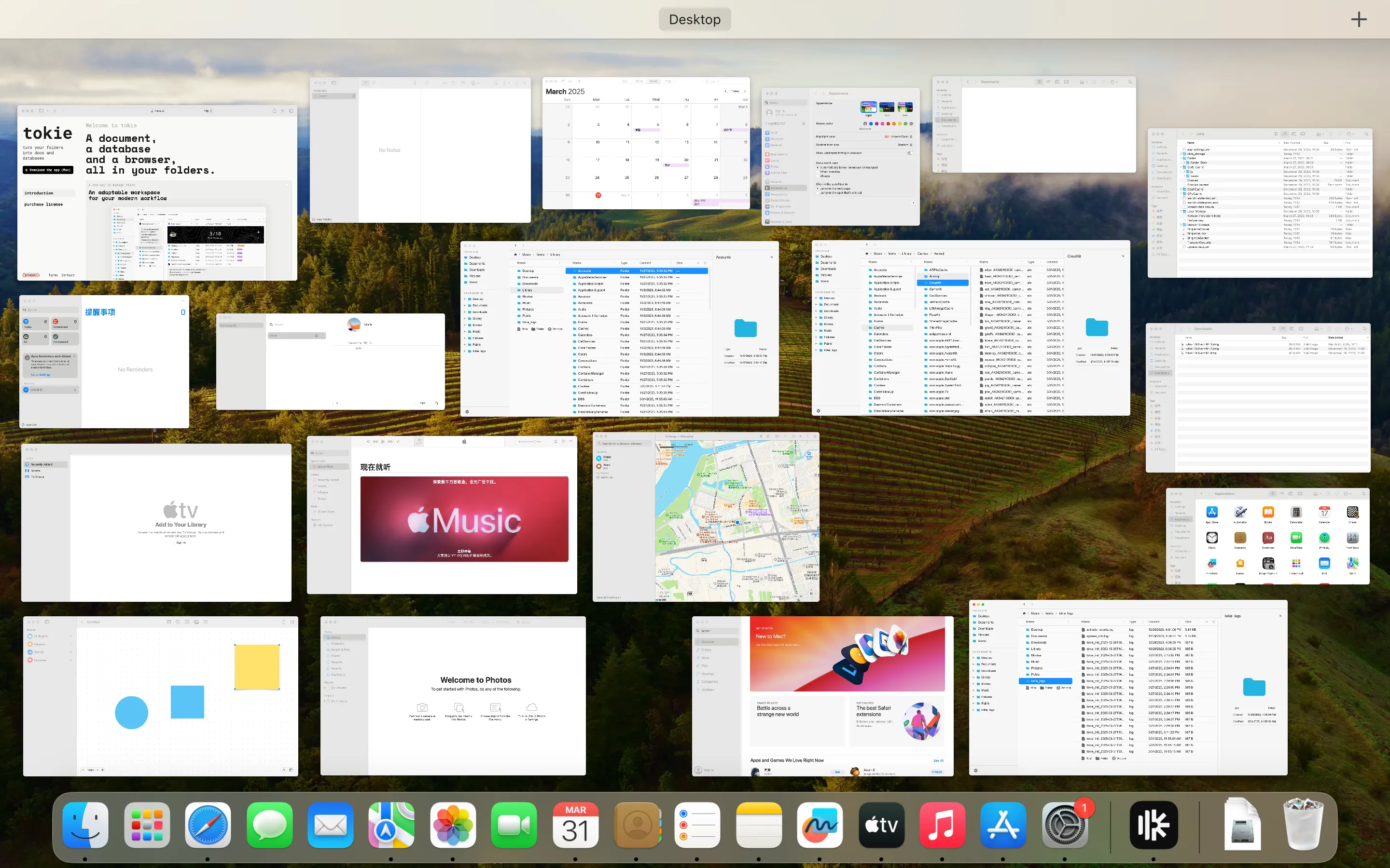 Seeing all windows open at once on MacOS